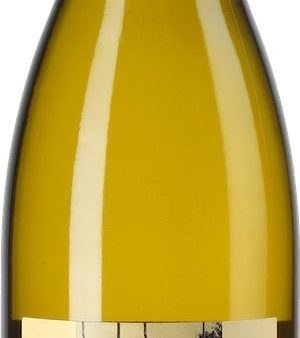 Gutedel [Chasselas]  Steinkruble , Ziereisen 2020 For Discount