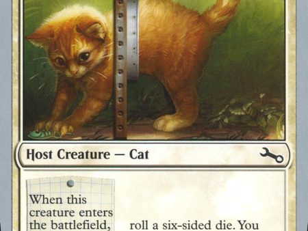 Adorable Kitten [Unstable] on Sale