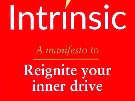 Intrinsic: A Manifesto To Reignite Your Inner Drive For Sale