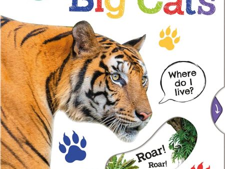 First Facts Big Cats Hot on Sale